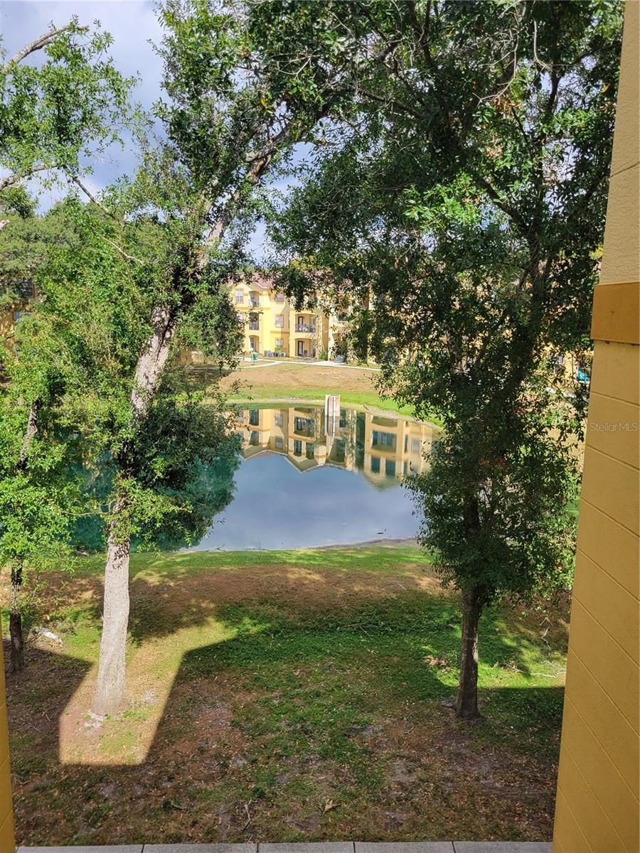 5608 PINNACLE HEIGHTS CIR #302, TAMPA, FL, 33624