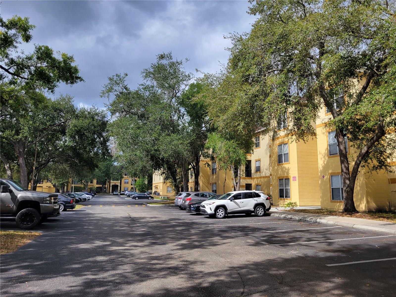 5608 PINNACLE HEIGHTS CIR #302, TAMPA, FL, 33624