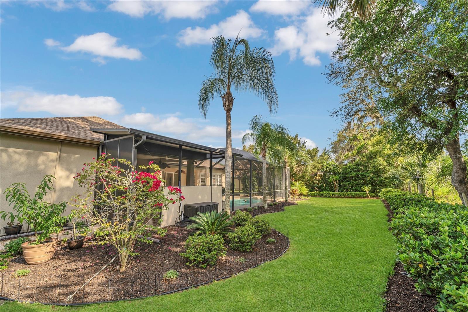 20632 BROADWATER DR, LAND O LAKES, FL, 34638