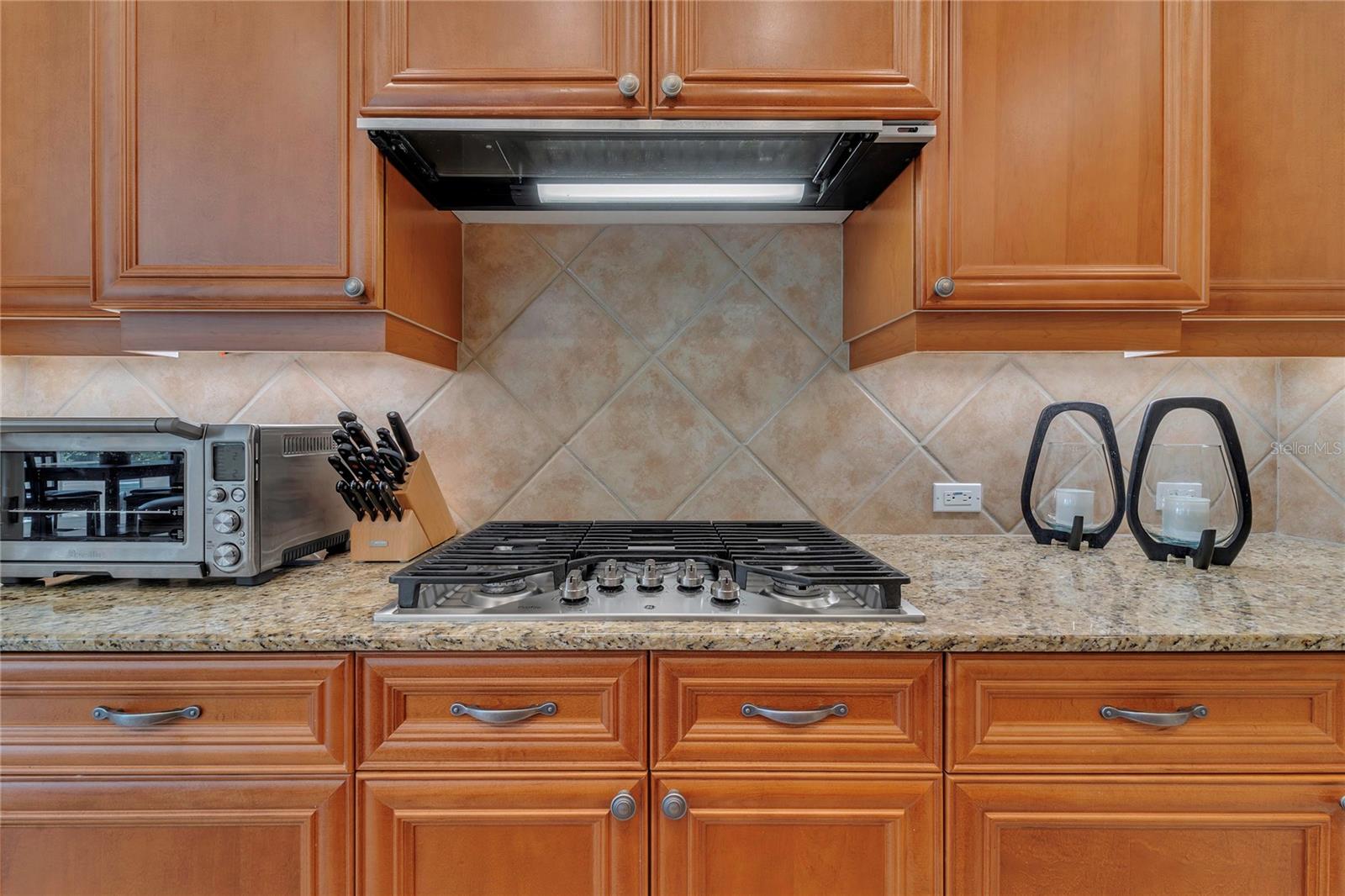 20632 BROADWATER DR, LAND O LAKES, FL, 34638