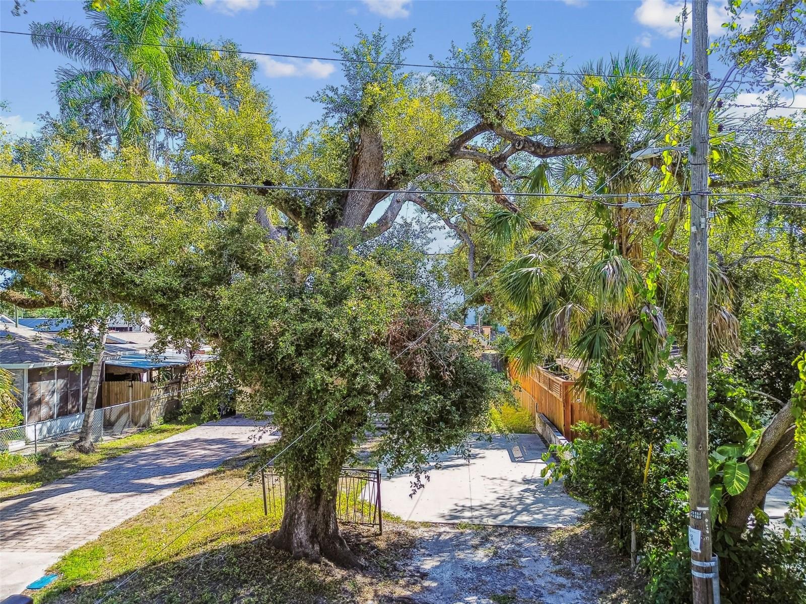 7215 N DUNCAN AVE, TAMPA, FL, 33604