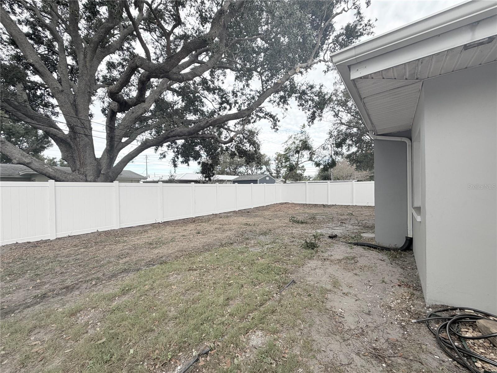 Neighboring Oak Trees Brand New Vinyl Fence December 2025