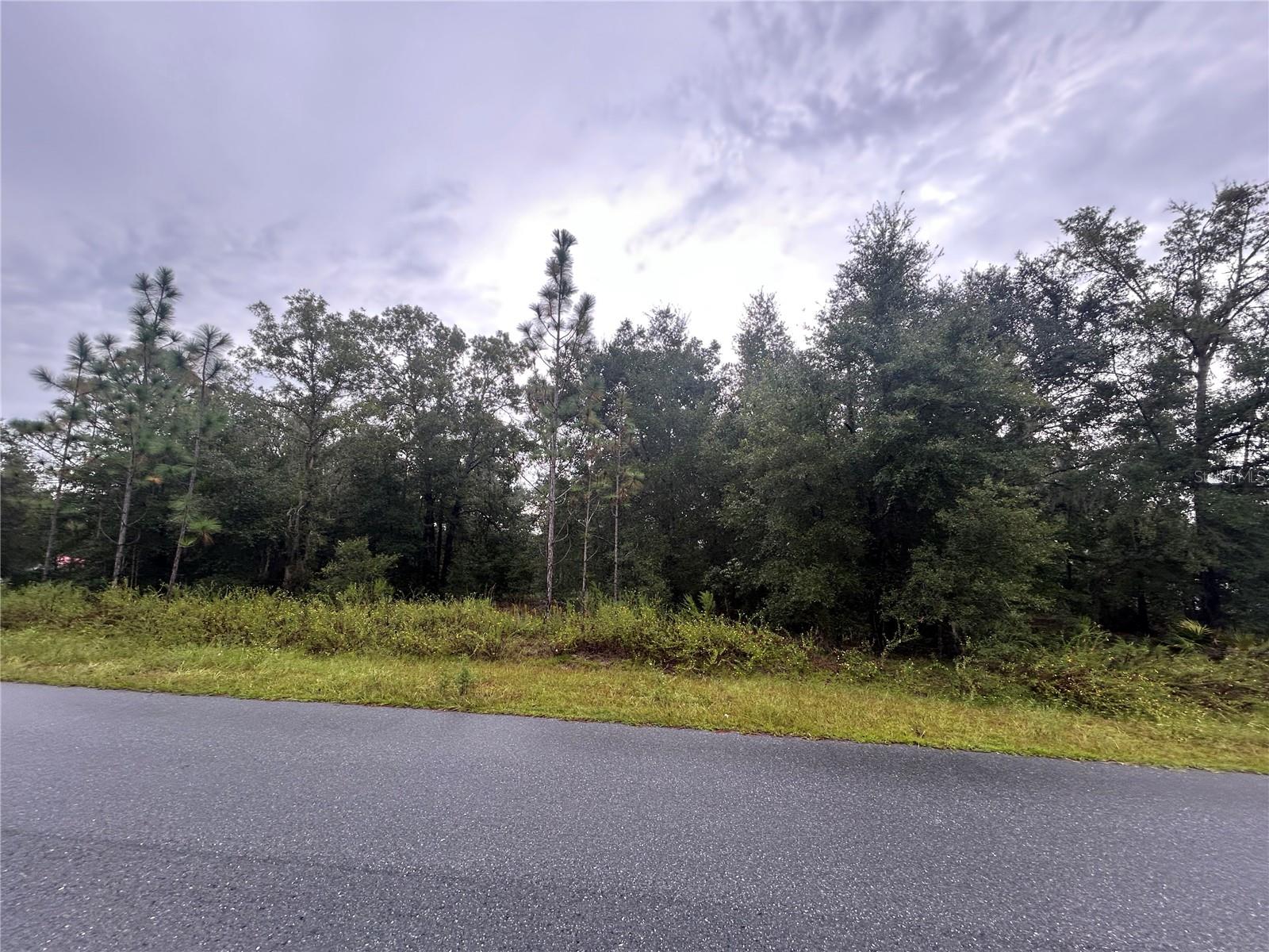 SW 140TH CT, OCALA, FL, 34481