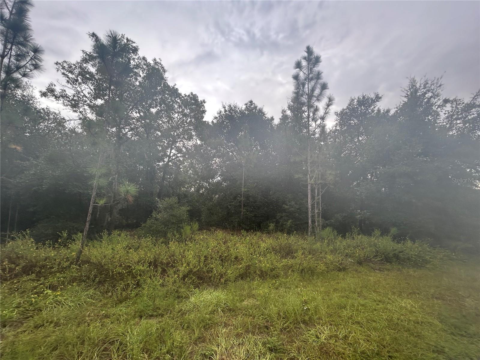 SW 140TH CT, OCALA, FL, 34481