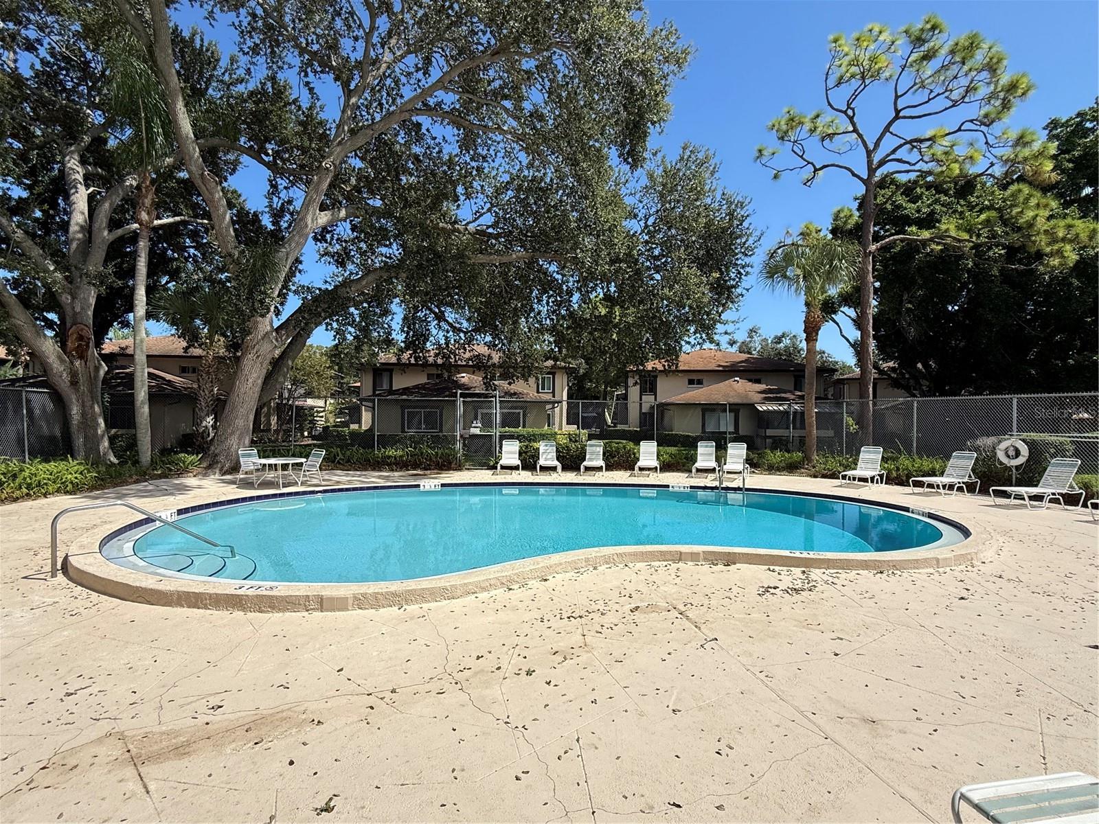 2933 LICHEN LN #A, CLEARWATER, FL, 33760