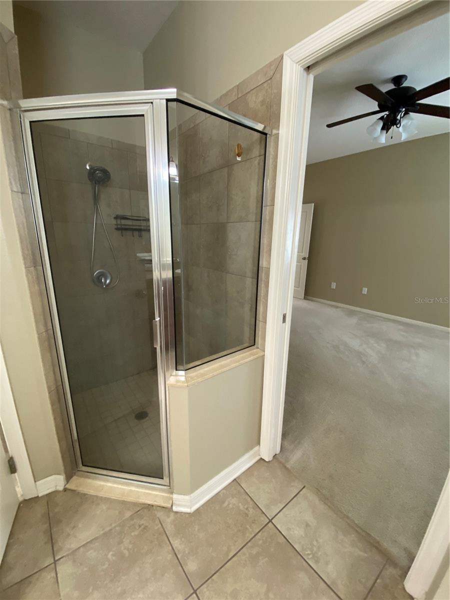 36246 DELTA GOLD CT, ZEPHYRHILLS, FL, 33541