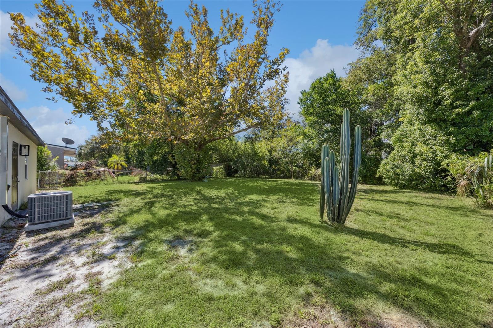 1324 OVERDALE ST, ORLANDO, FL, 32825