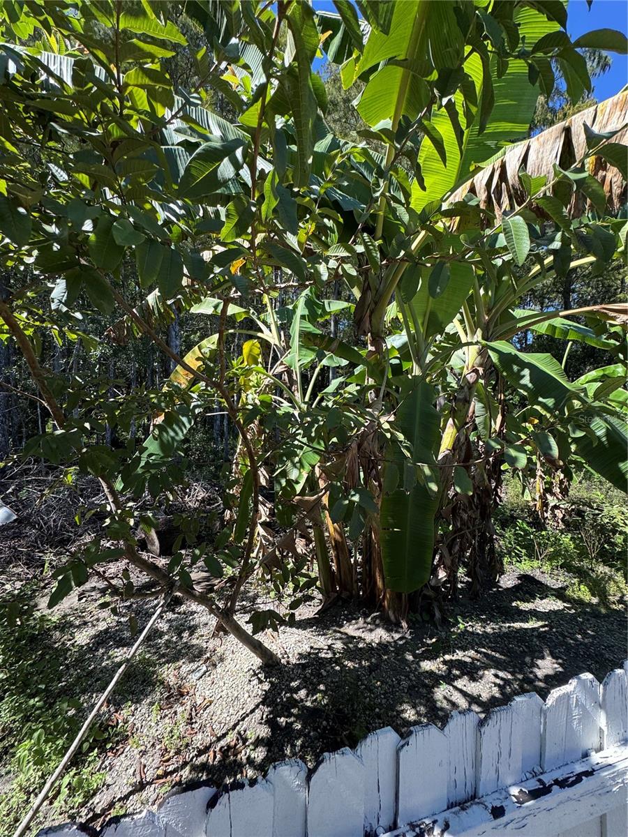 12516 GRECO DR, ORLANDO, FL, 32824