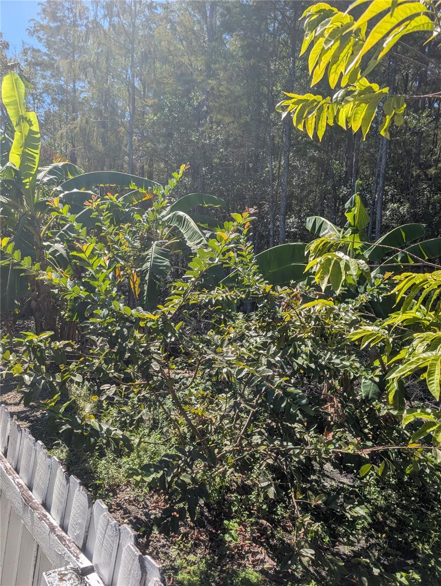 12516 GRECO DR, ORLANDO, FL, 32824