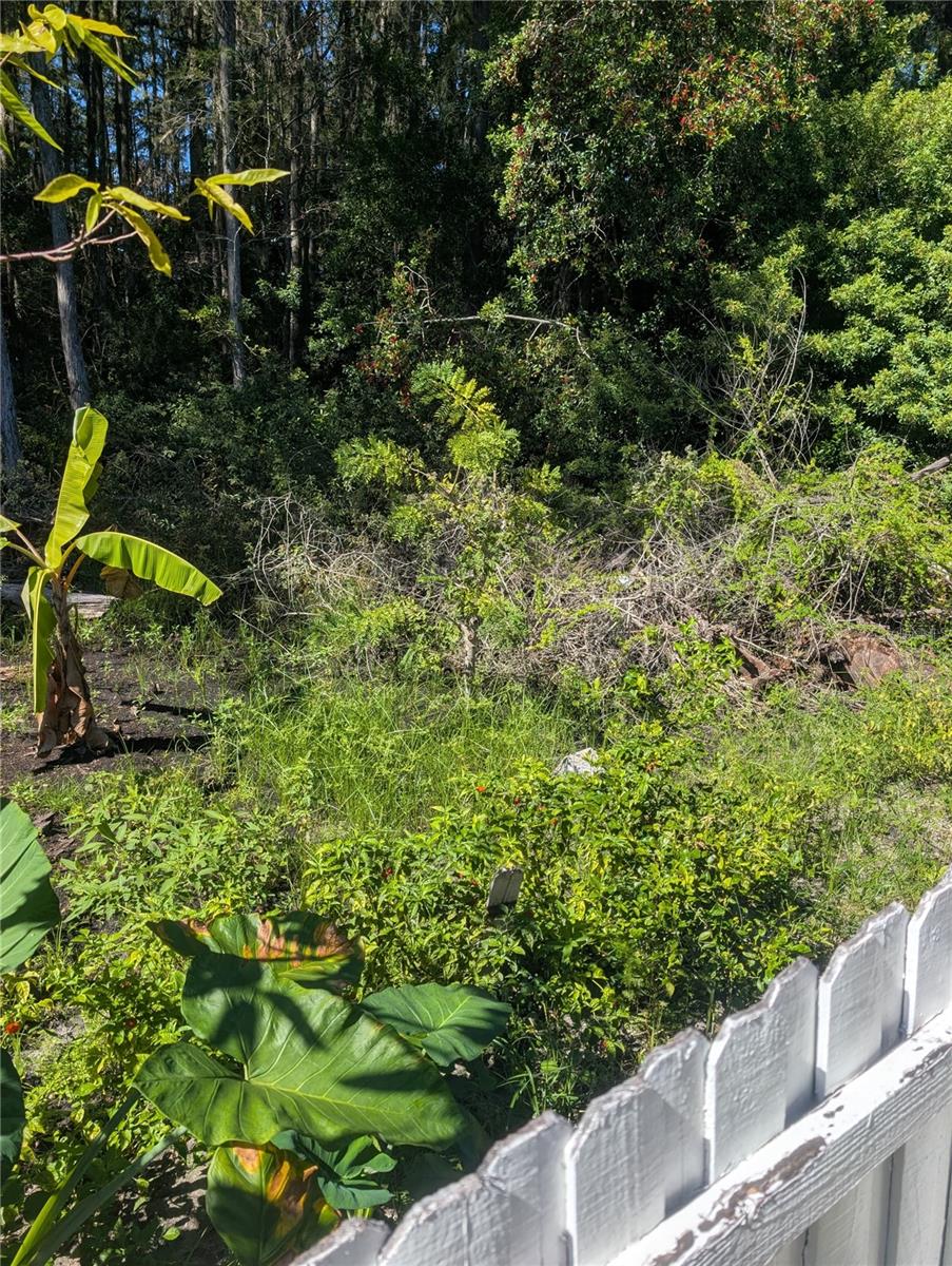 12516 GRECO DR, ORLANDO, FL, 32824