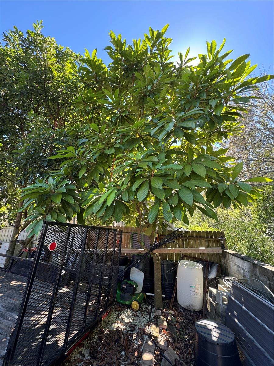 12516 GRECO DR, ORLANDO, FL, 32824