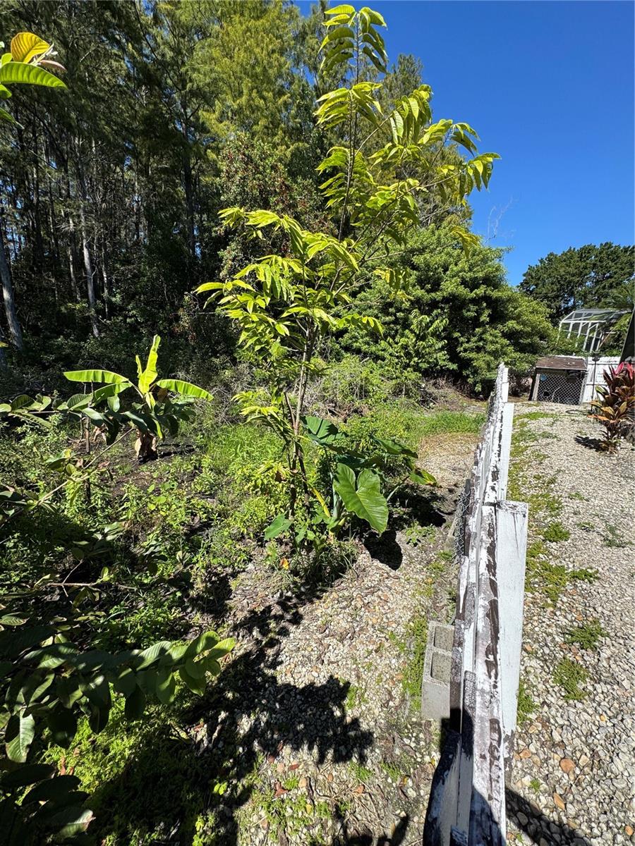 12516 GRECO DR, ORLANDO, FL, 32824