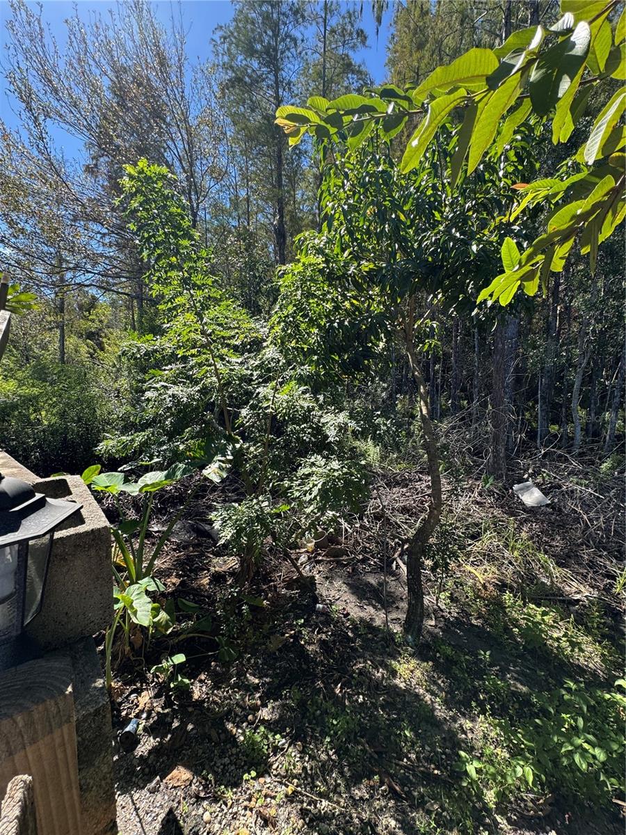 12516 GRECO DR, ORLANDO, FL, 32824