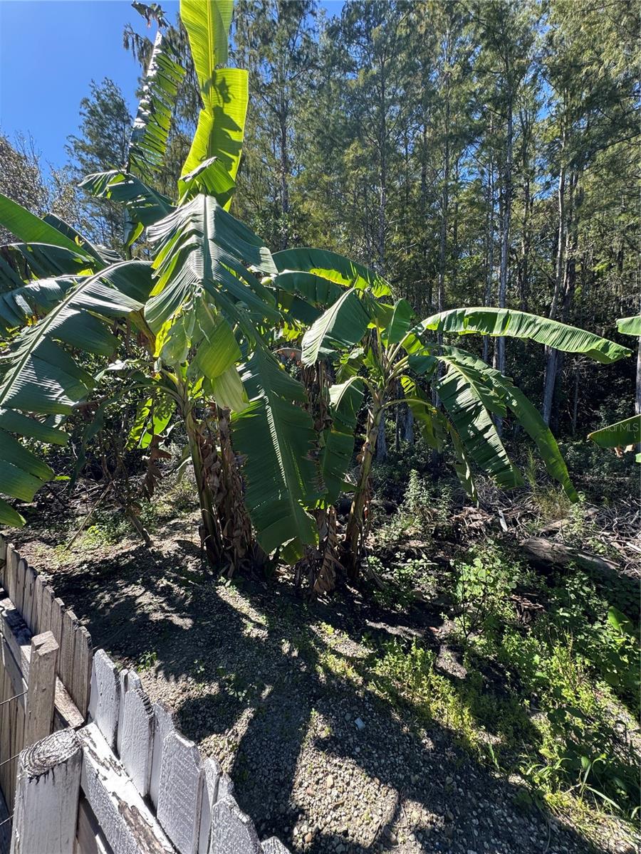 12516 GRECO DR, ORLANDO, FL, 32824