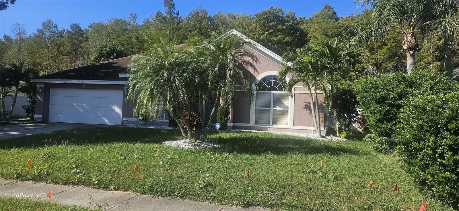 12516 GRECO DR, ORLANDO, FL, 32824