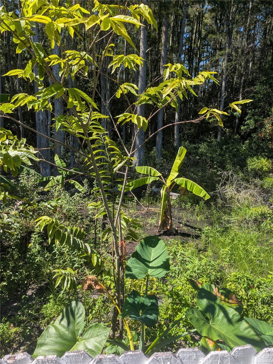 12516 GRECO DR, ORLANDO, FL, 32824