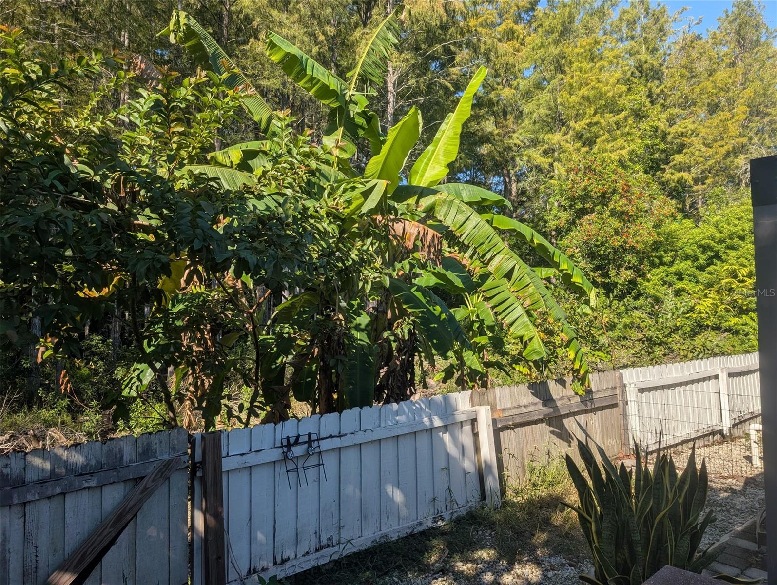 12516 GRECO DR, ORLANDO, FL, 32824