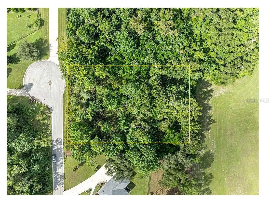 7082 NORNE LN, MOUNT DORA, FL, 32757