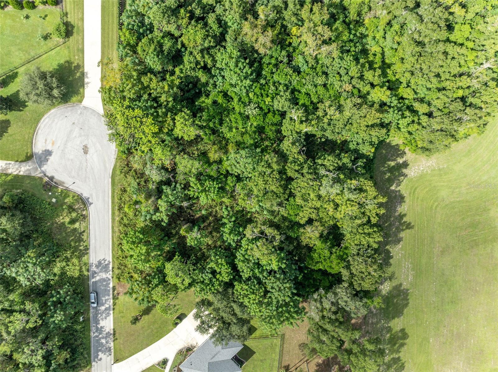 7082 NORNE LN, MOUNT DORA, FL, 32757