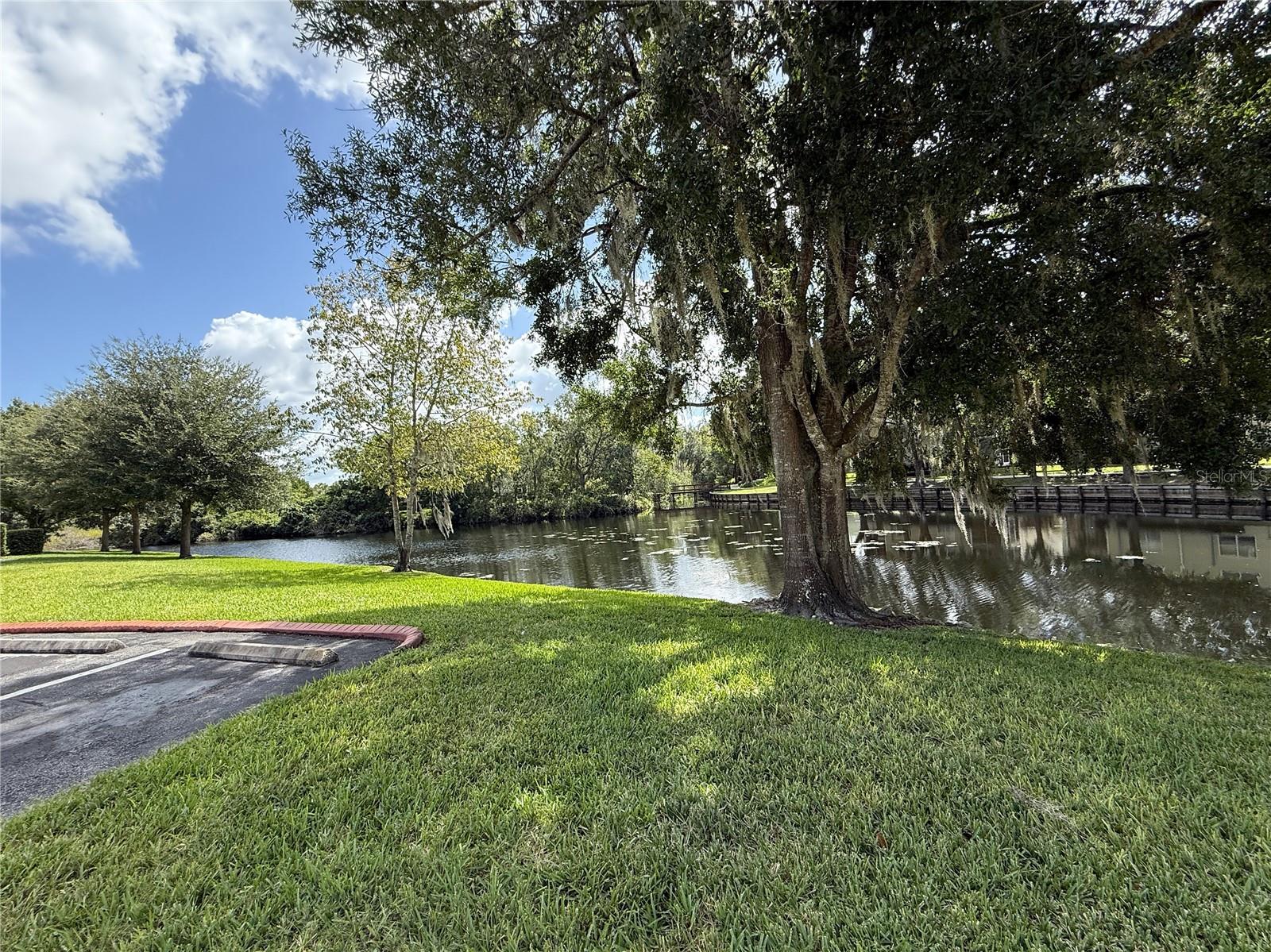 1719 HAMMOCKS AVE, LUTZ, FL, 33549