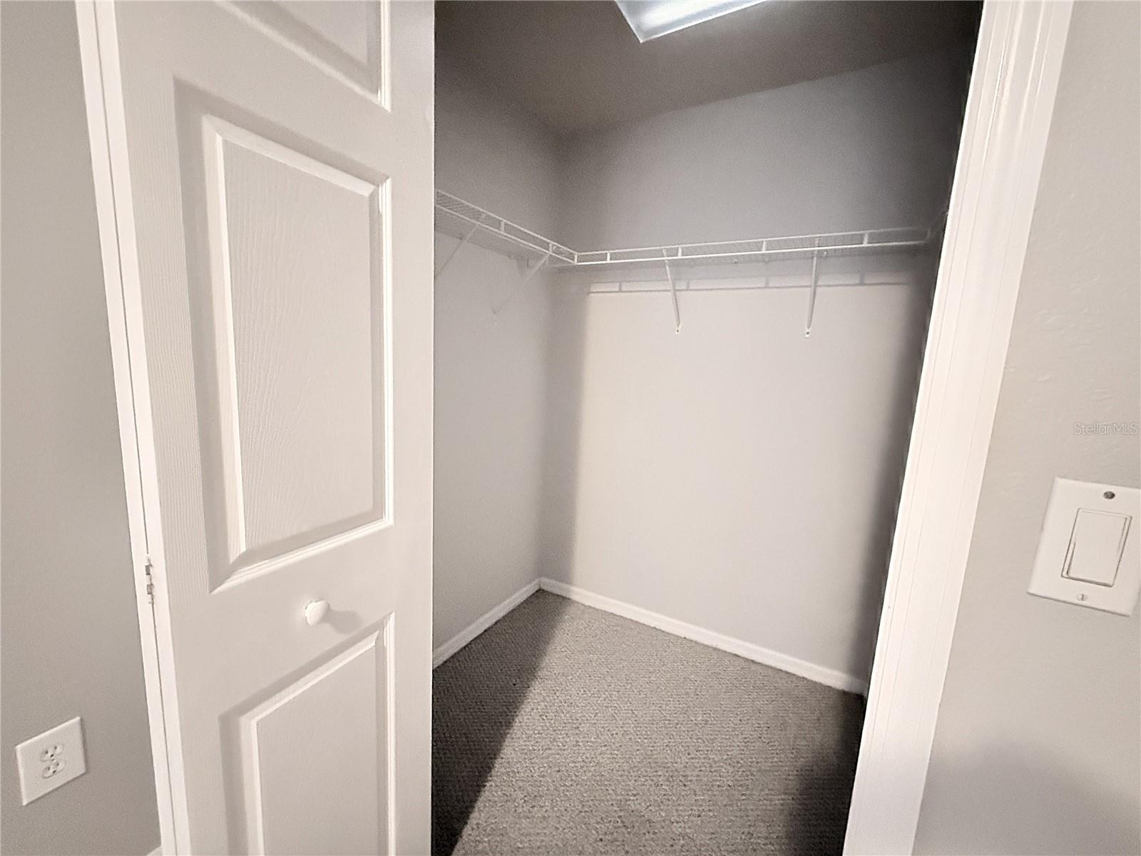 1719 HAMMOCKS AVE, LUTZ, FL, 33549