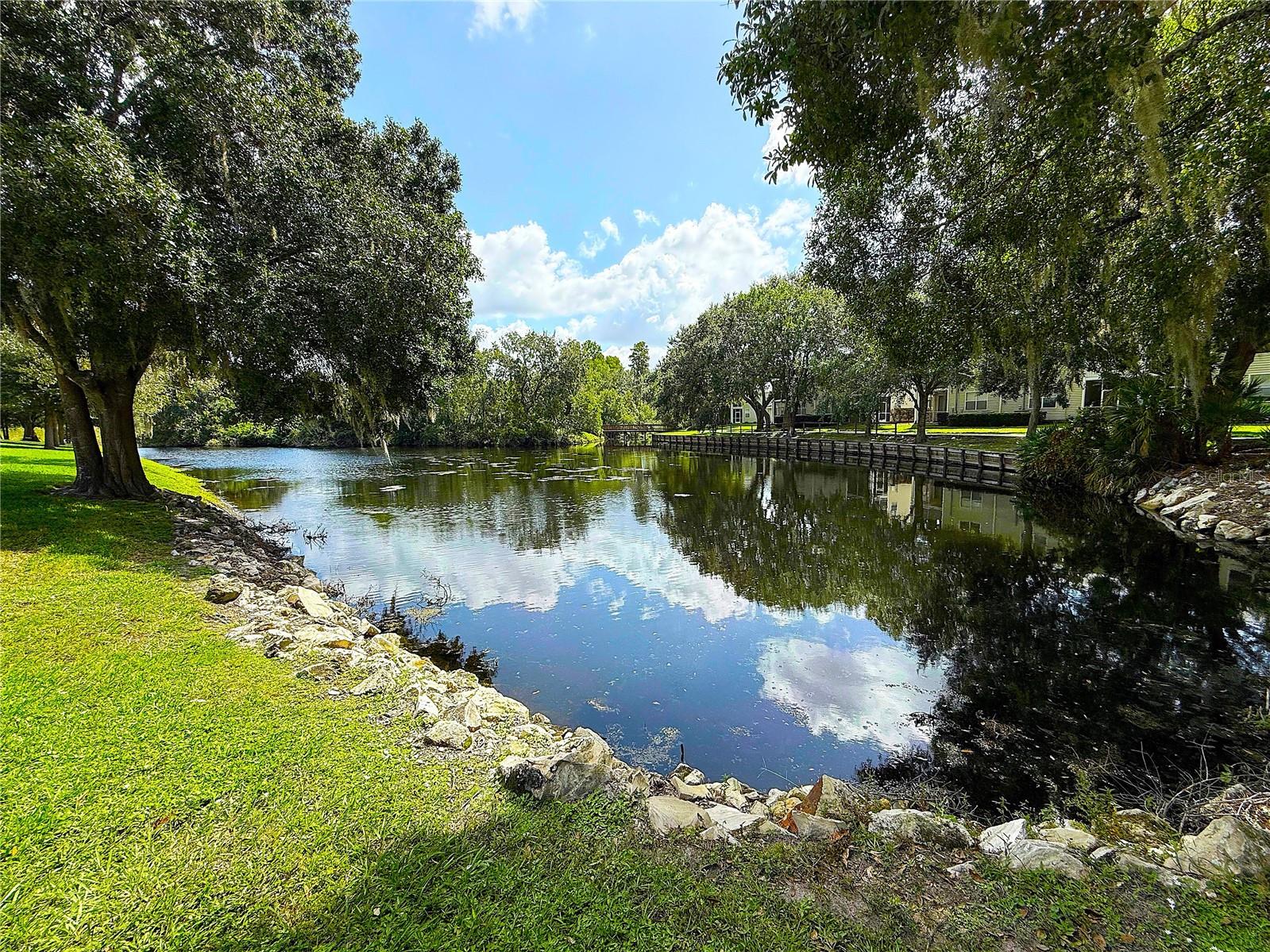 1719 HAMMOCKS AVE, LUTZ, FL, 33549