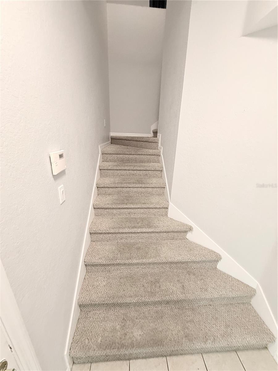 1719 HAMMOCKS AVE, LUTZ, FL, 33549