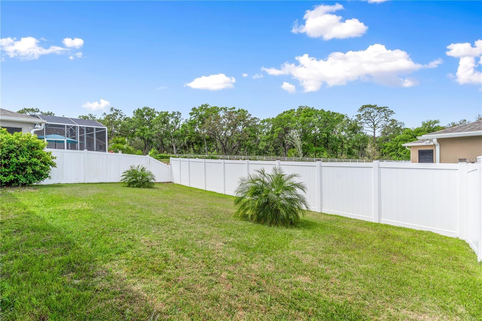 6003 NIGHTJAR CT, OKAHUMPKA, FL, 34762