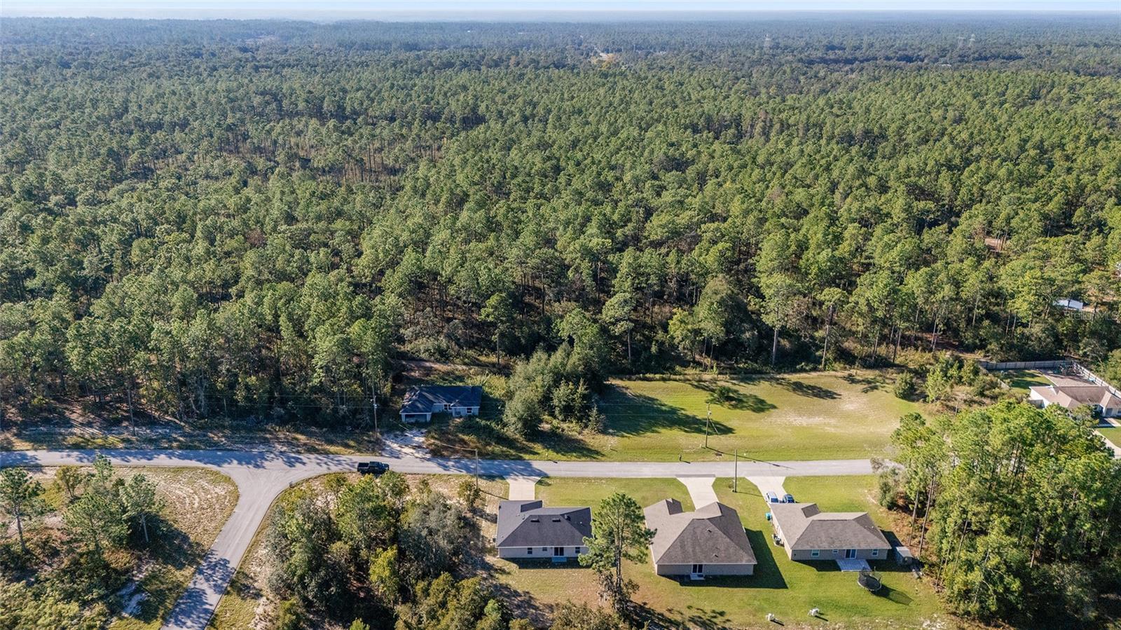 8445 SW 139 LANE RD, OCALA, FL, 34473