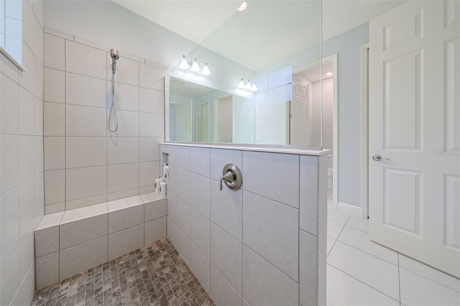 Primary bathroom shower