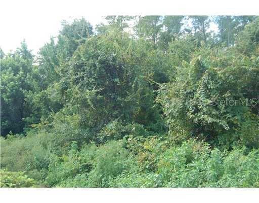 RAULERSON RD, FROSTPROOF, FL, 33843