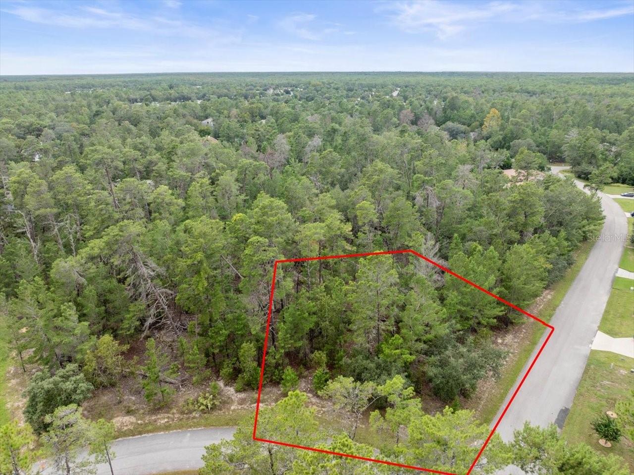 80 BELLS OF IRELAND CT, HOMOSASSA, FL, 34446