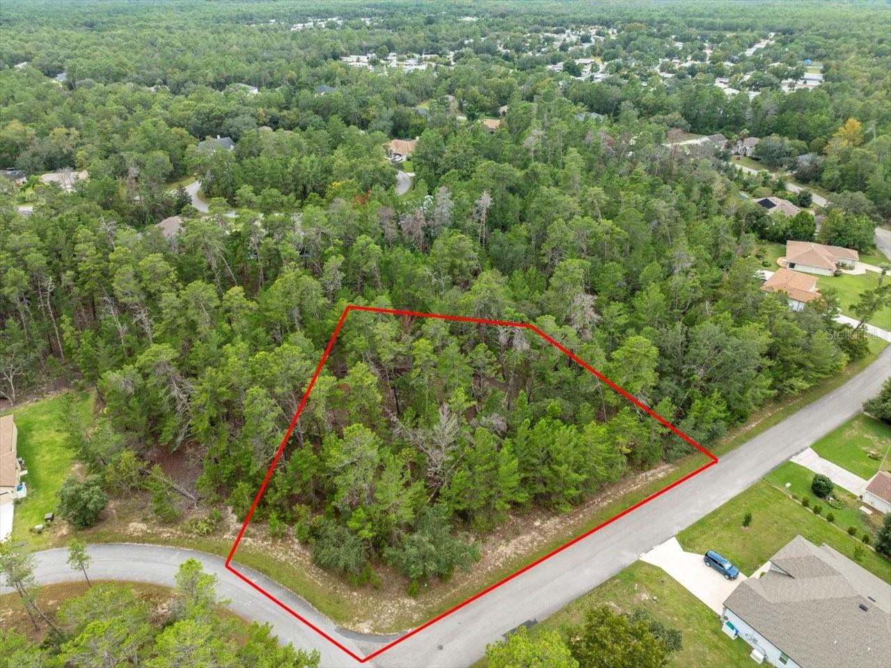 80 BELLS OF IRELAND CT, HOMOSASSA, FL, 34446