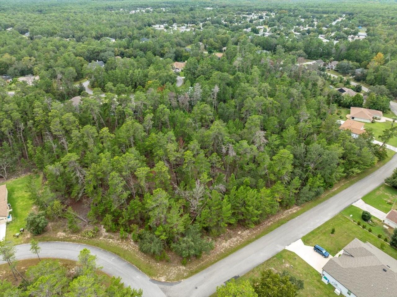 80 BELLS OF IRELAND CT, HOMOSASSA, FL, 34446