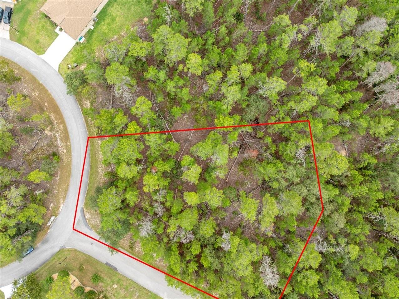 80 BELLS OF IRELAND CT, HOMOSASSA, FL, 34446