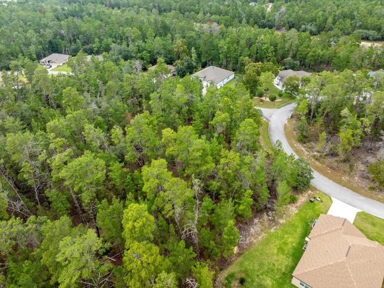 80 BELLS OF IRELAND CT, HOMOSASSA, FL, 34446