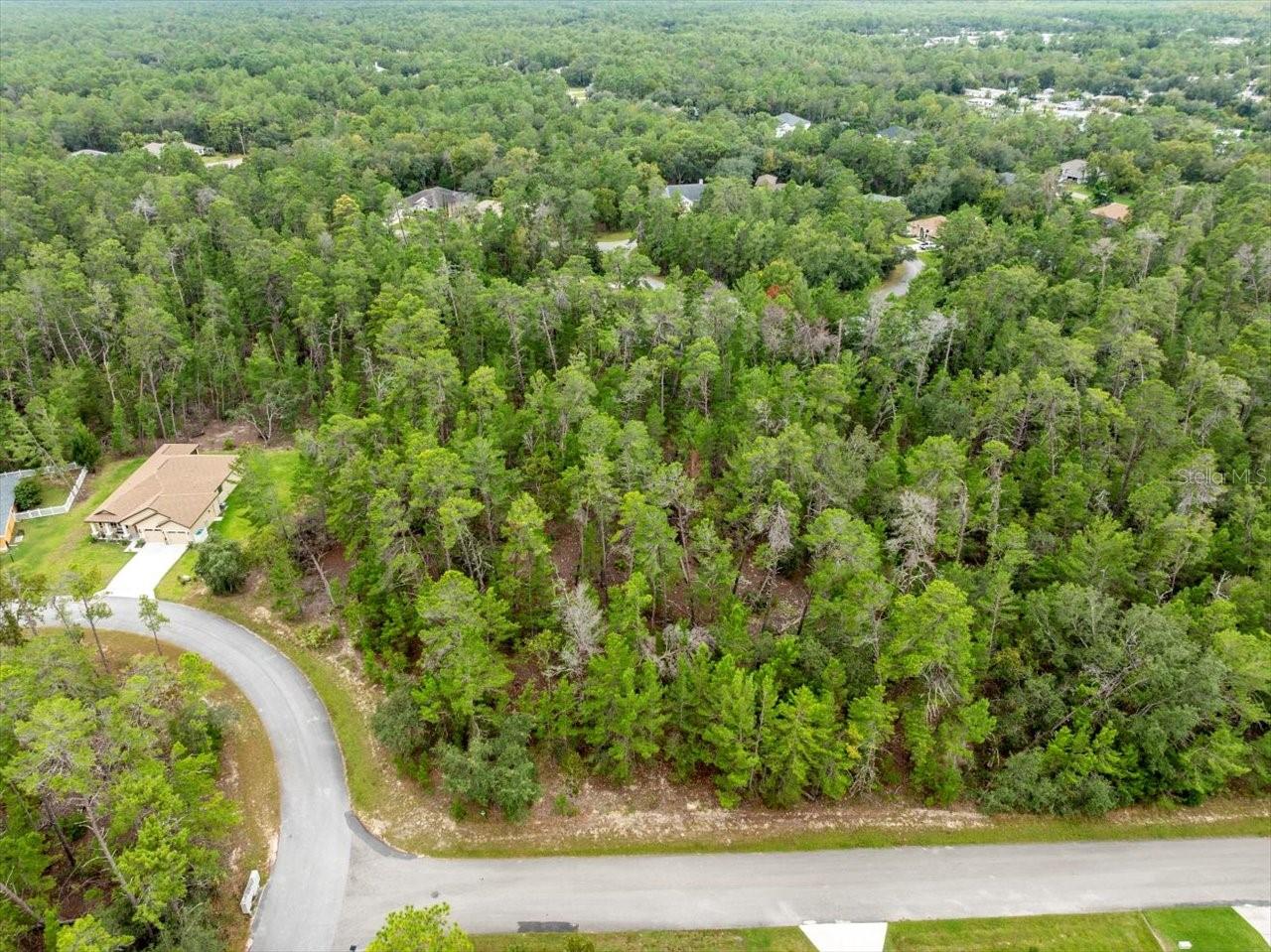 80 BELLS OF IRELAND CT, HOMOSASSA, FL, 34446