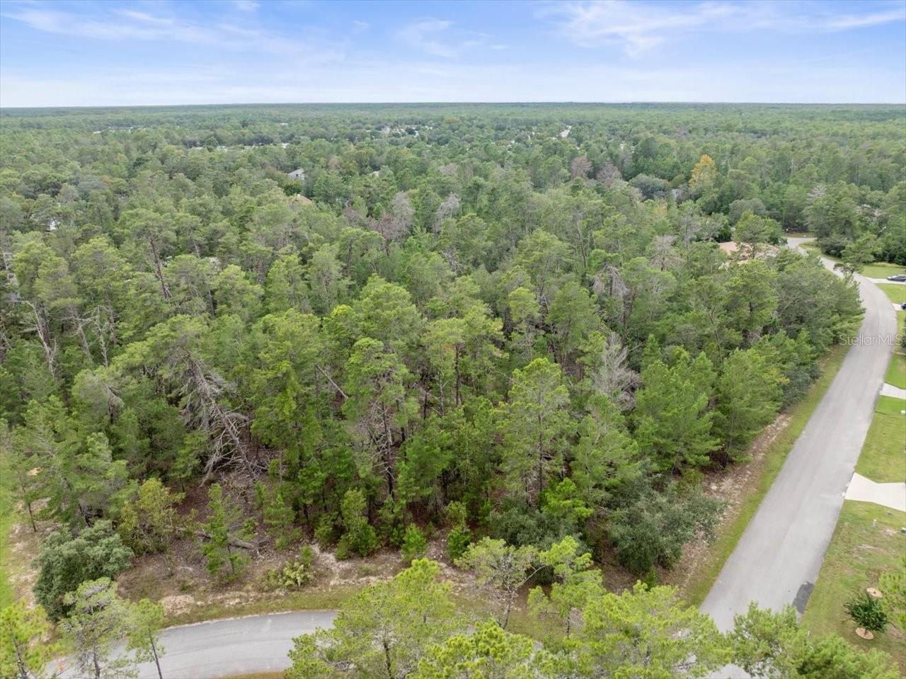 80 BELLS OF IRELAND CT, HOMOSASSA, FL, 34446