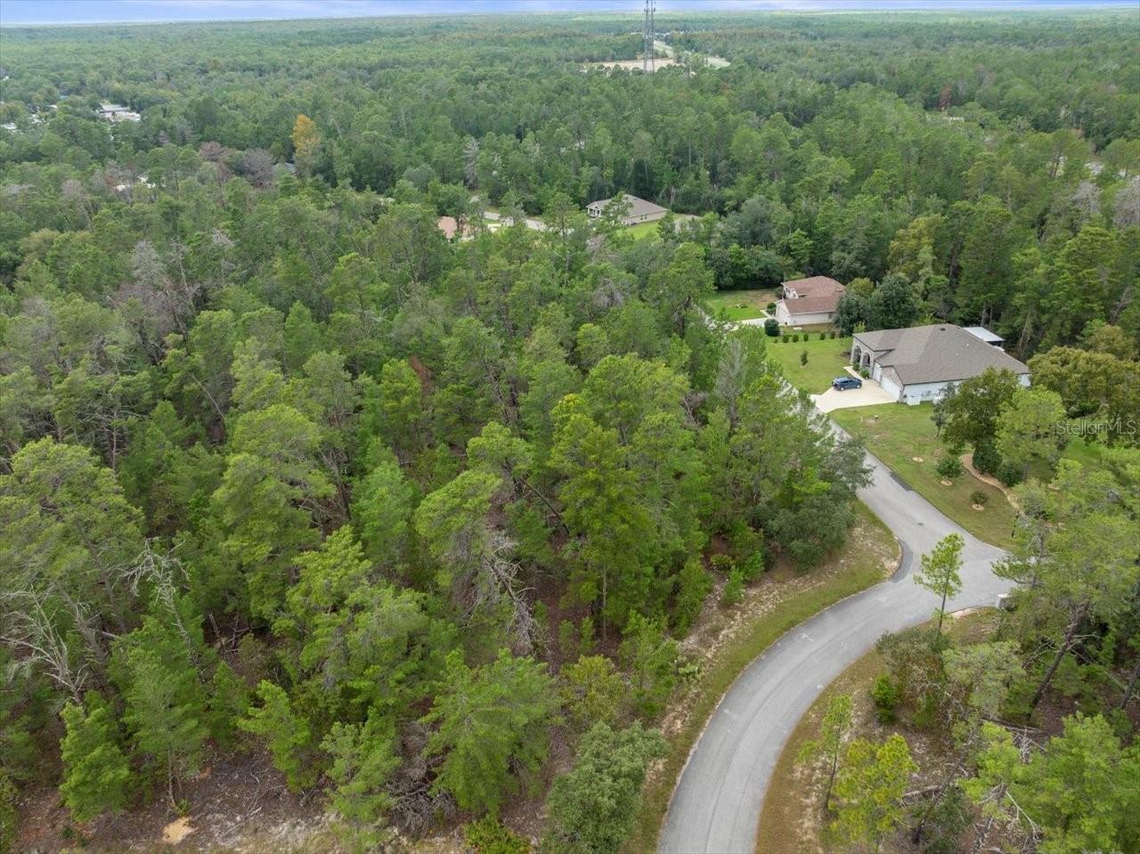 80 BELLS OF IRELAND CT, HOMOSASSA, FL, 34446