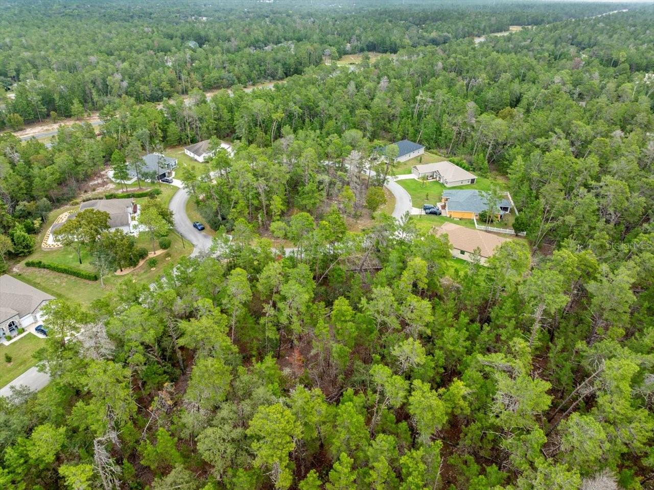 80 BELLS OF IRELAND CT, HOMOSASSA, FL, 34446