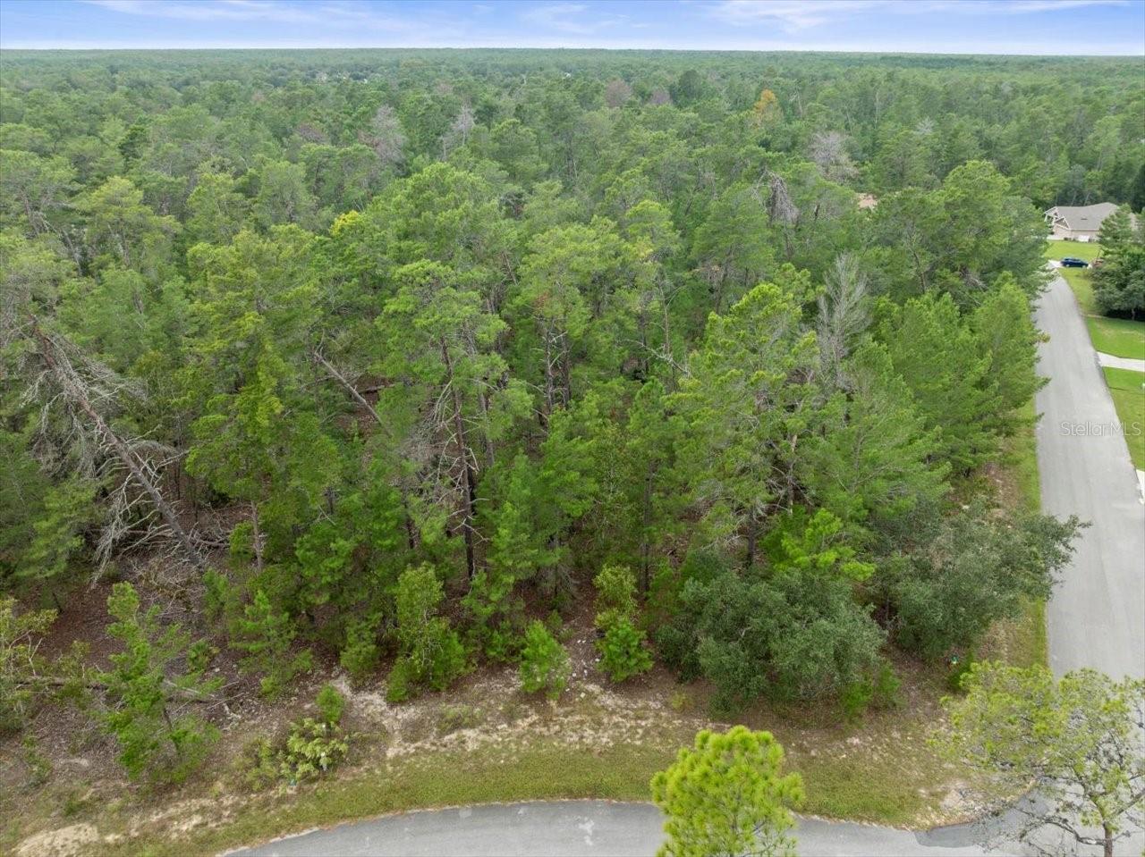 80 BELLS OF IRELAND CT, HOMOSASSA, FL, 34446