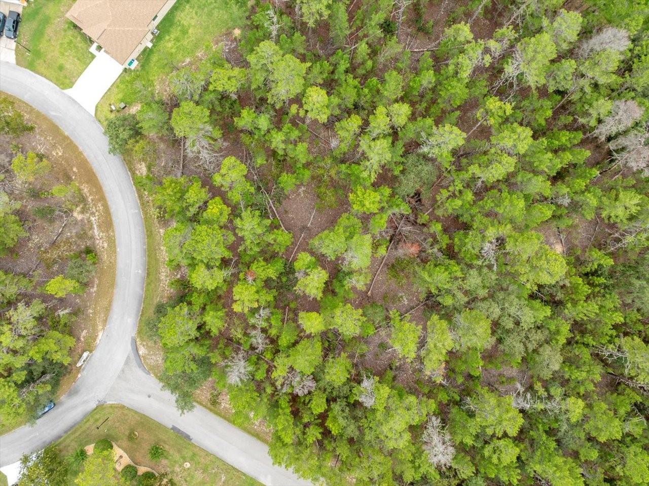 80 BELLS OF IRELAND CT, HOMOSASSA, FL, 34446