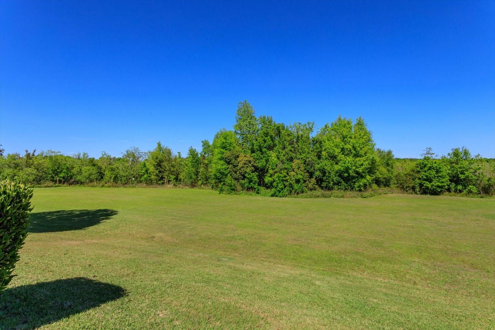 2415 SABASTIAN ST, MOUNT DORA, FL, 32757