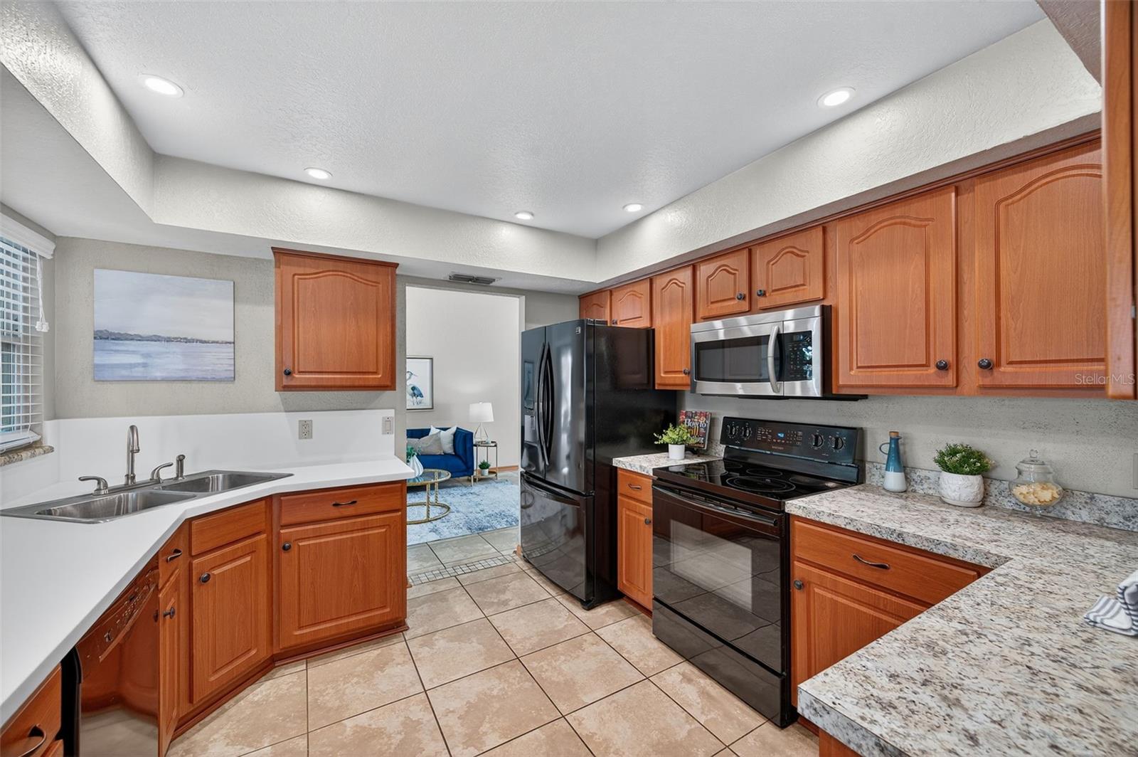 10051 SLEEPY WILLOW CT, SPRING HILL, FL, 34608