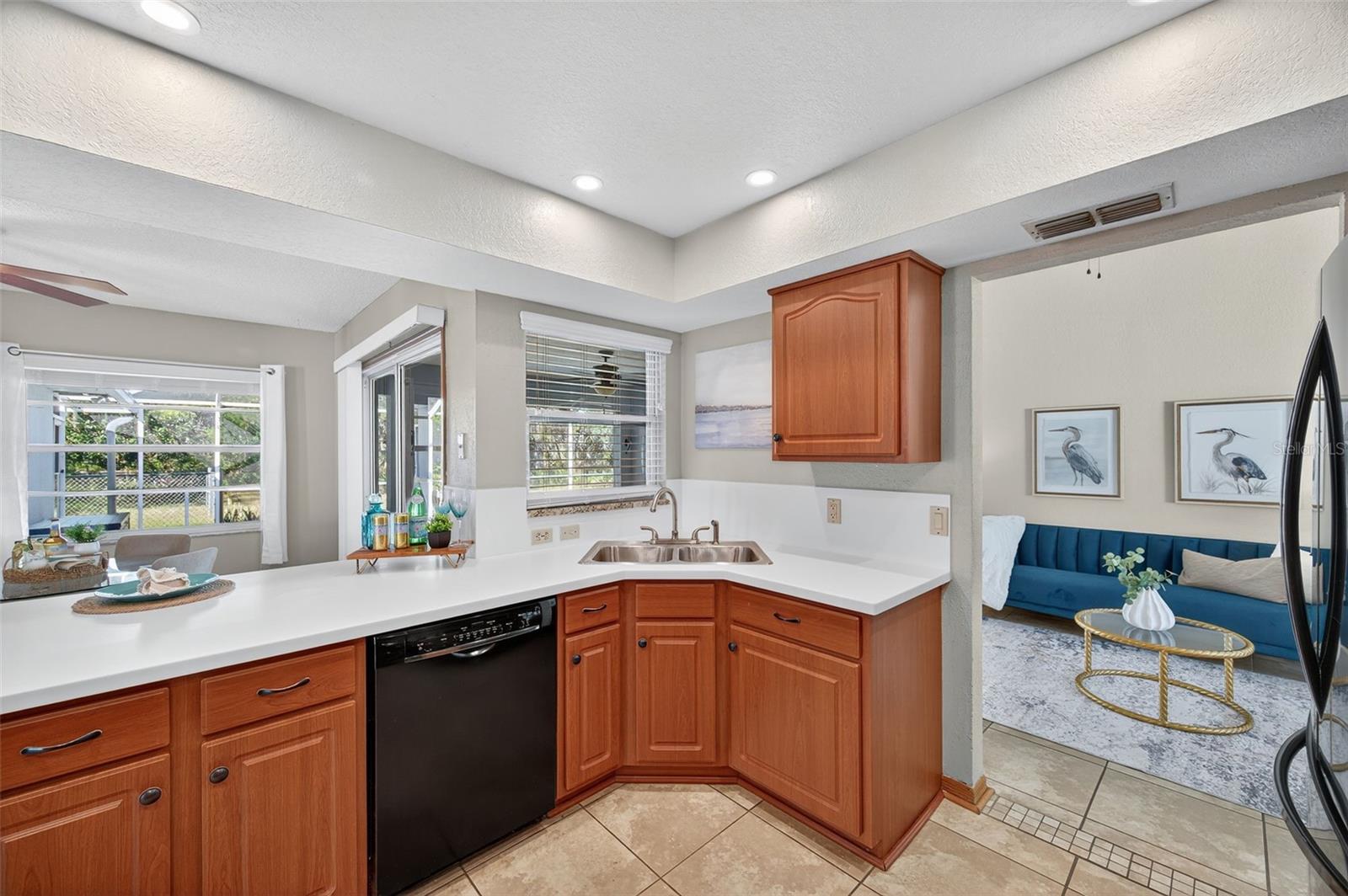 10051 SLEEPY WILLOW CT, SPRING HILL, FL, 34608