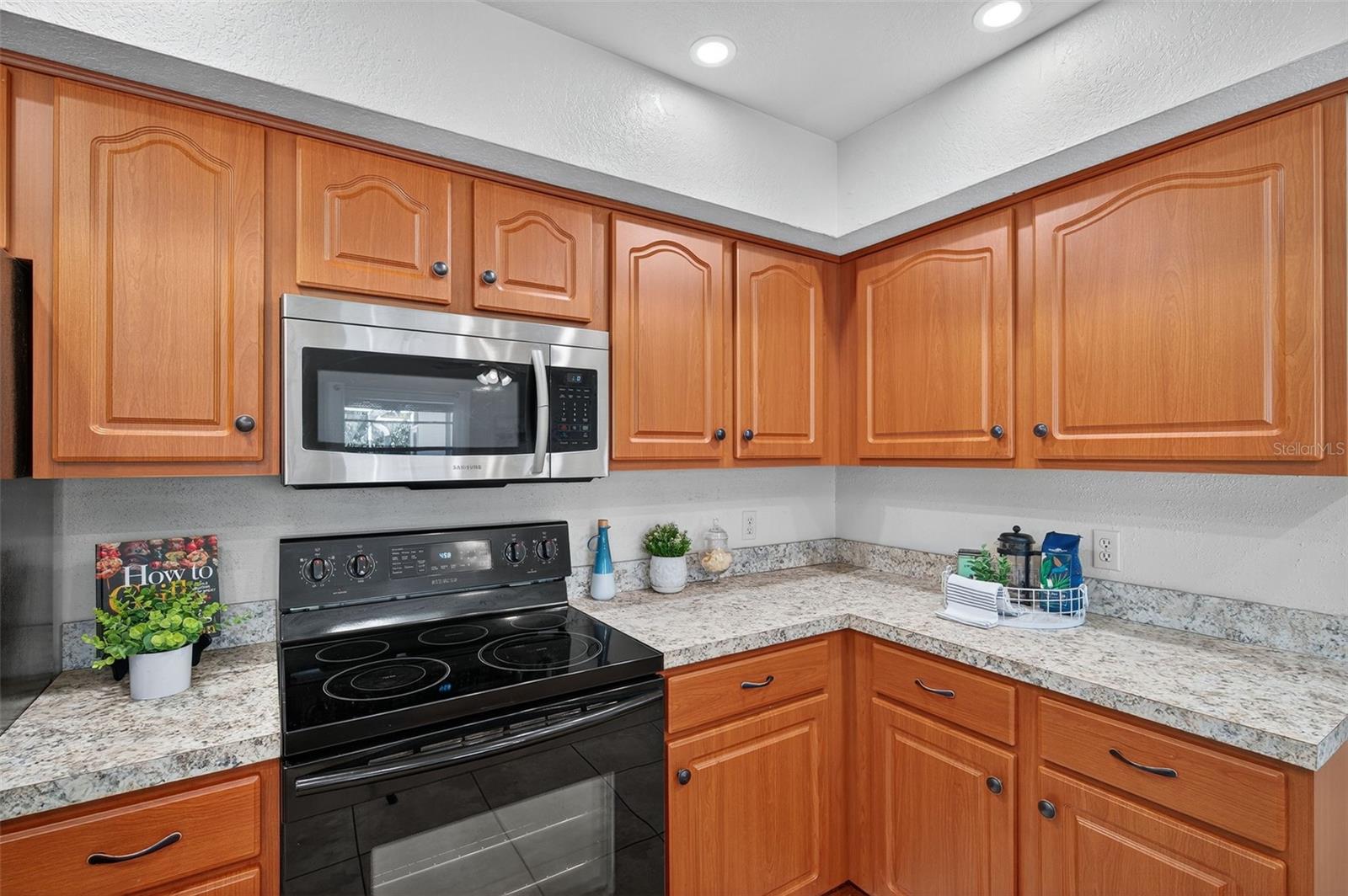 10051 SLEEPY WILLOW CT, SPRING HILL, FL, 34608