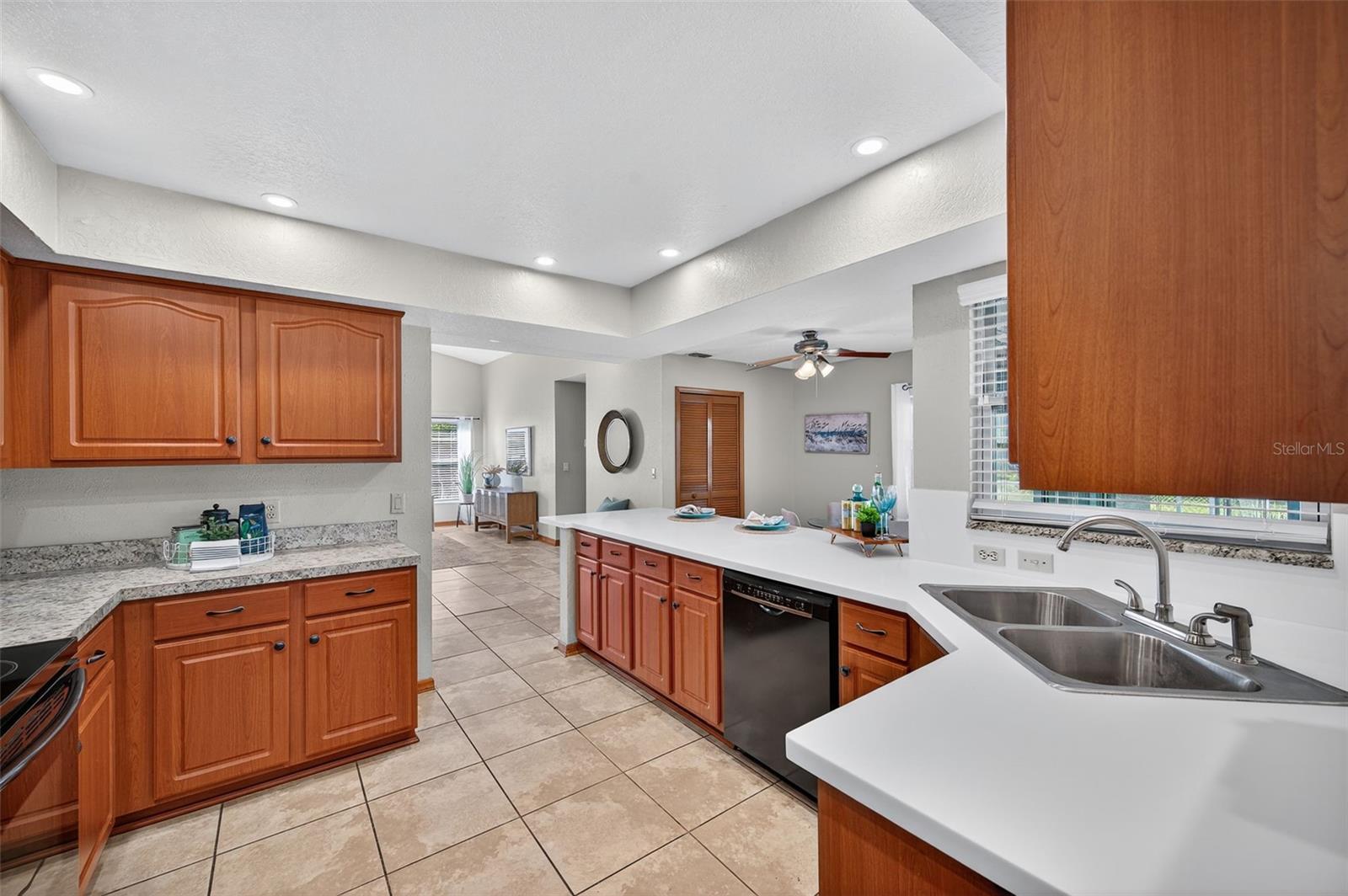 10051 SLEEPY WILLOW CT, SPRING HILL, FL, 34608