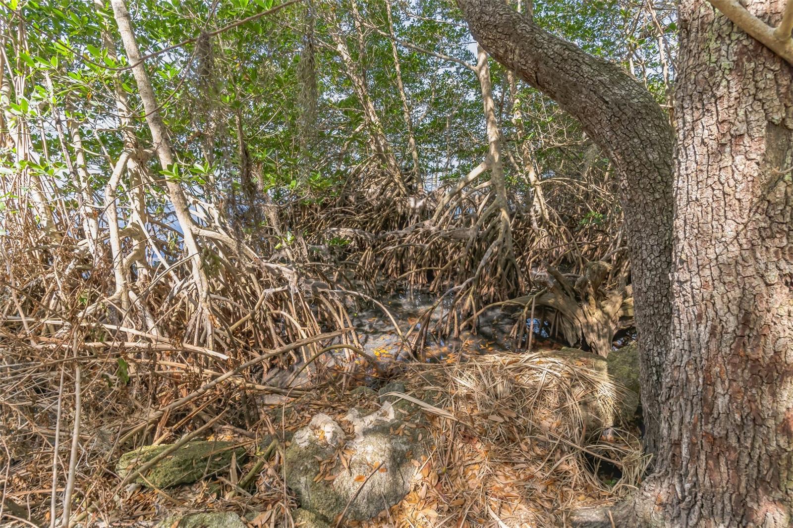 3305 SPARTINA AVE, MERRITT ISLAND, FL, 32953