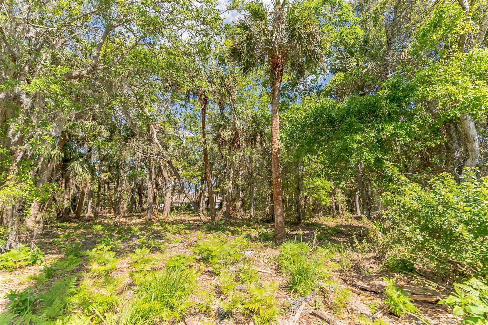 3305 SPARTINA AVE, MERRITT ISLAND, FL, 32953