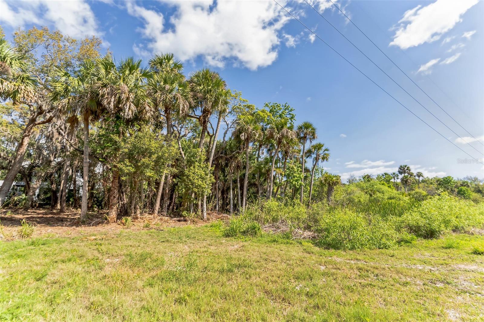 3305 SPARTINA AVE, MERRITT ISLAND, FL, 32953